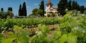 Tempranillo Day